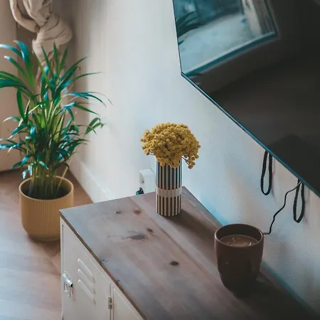 Le Nid Enchante Apartment Perpignan