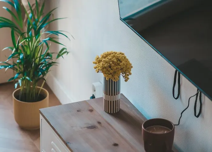 Le Nid Enchante Apartment Perpignan